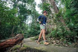 BIB: 
                            <button type="button" onclick="openModal(24809594)" class="btn btn-primary btn-sm float-right btn-popup" data-toggle="modal" data-target=".modal-high-quality">
                        <i class="fas fa-shopping-cart"></i> Add to Cart
                    </button>
                                            <button type="button" onclick="isThisMe(24809594, true)" class="btn btn-success btn-sm float-right btn-popup btn-isme hidden" data-toggle="tooltip" data-placement="bottom" title="นี่คือรูปของคุณใช่ไหม คลิกที่นี่เพื่อเอาเข้าอัลบั้ม">
                        <i class="fas fa-plus"></i> Add to album
                    </button>
                    <button type="button" onclick="isThisMe(24809594, false)" class="btn btn-warning btn-sm float-right btn-popup btn-isnotme hidden">
                        <i class="fas fa-ban"></i> Remove from album
                    </button>